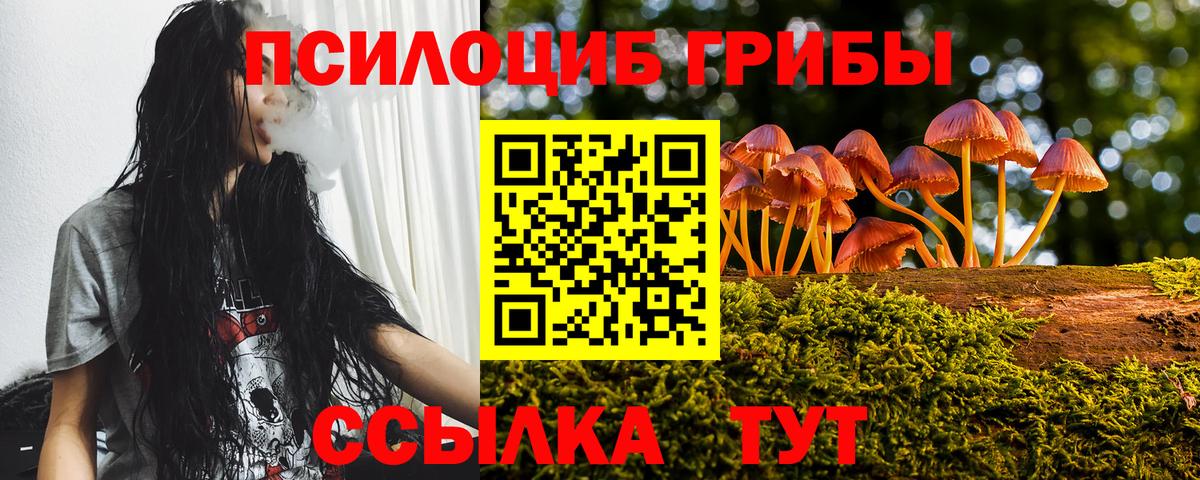 Гусев  Галлюциногенные грибы мицелий  Псилоцибиновые грибы мицелий  Вход с VPN 