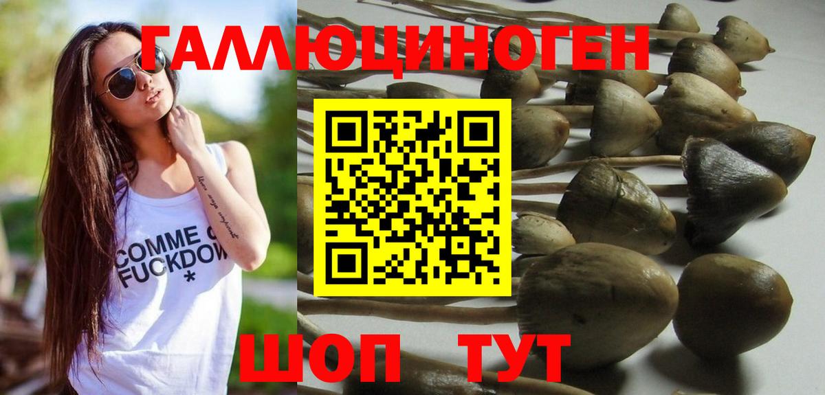 Псилоцибиновые грибы мицелий Гусев